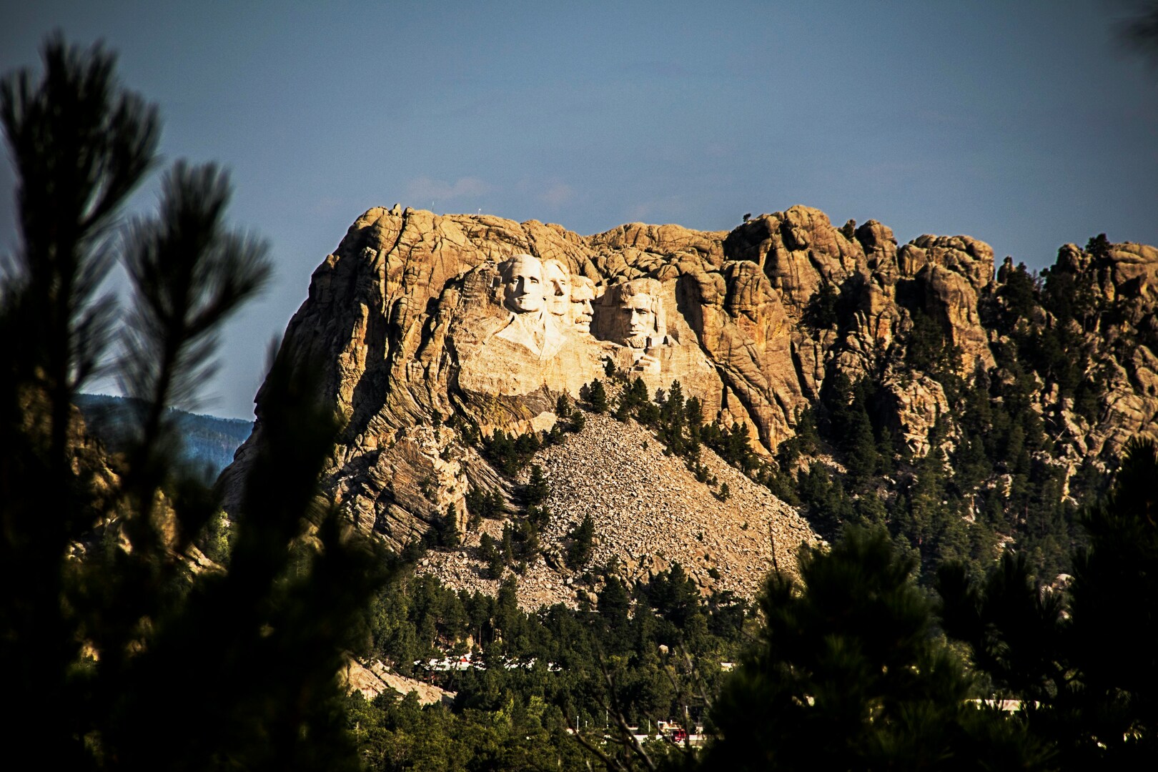 Black Hills National Forest View